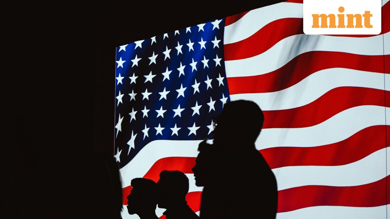 US visa application approved within a minute for father, 2-year-old daughter: Reddit user shares experience